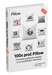 100x_proc_Pillow